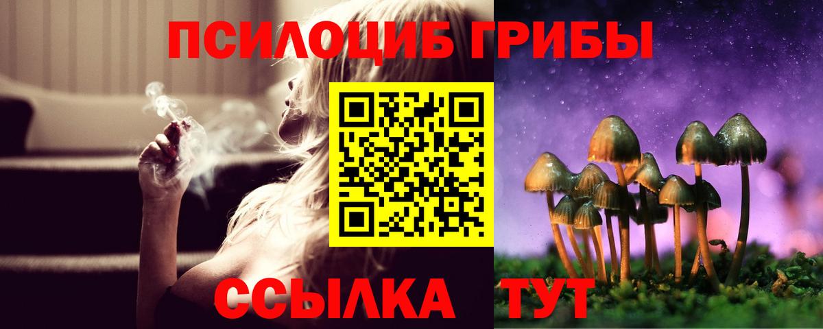 Абакан  Псилоцибиновые грибы мицелий  Галлюциногенные грибы мухоморы  Вход с VPN 